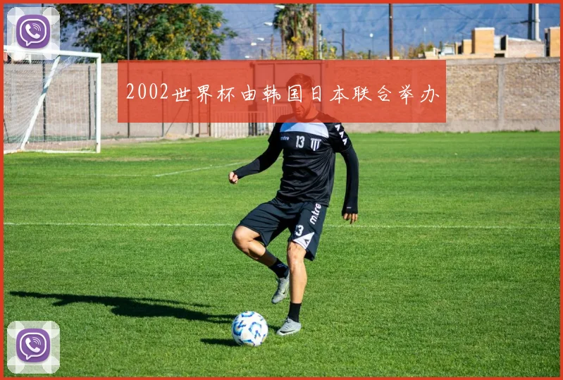 2002世界杯由韩国日本联合举办