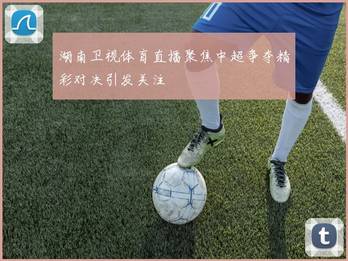 湖南卫视体育直播聚焦中超争夺精彩对决引发关注