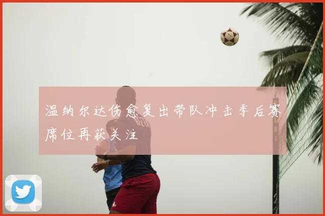 温纳尔达伤愈复出带队冲击季后赛席位再获关注