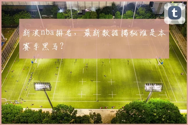 新浪nba排名,最新数据揭秘谁是本赛季黑马?