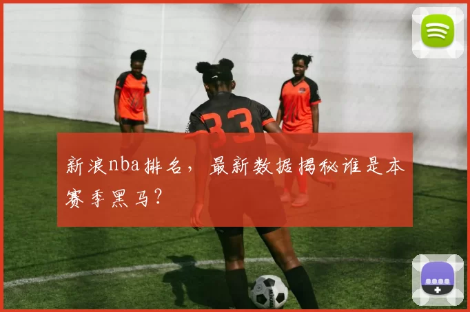 新浪nba排名，最新数据揭秘谁是本赛季黑马？