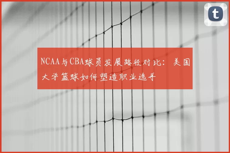 NCAA与CBA球员发展路径对比：美国大学篮球如何塑造职业选手