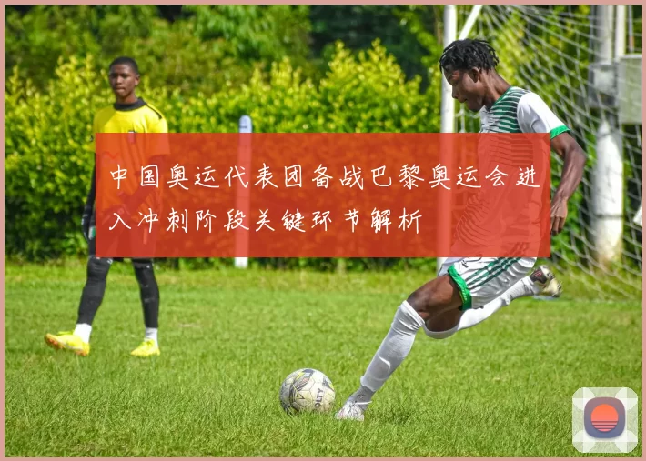 中国奥运代表团备战巴黎奥运会进入冲刺阶段关键环节解析