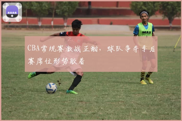 CBA常规赛激战正酣，球队争夺季后赛席位形势胶着