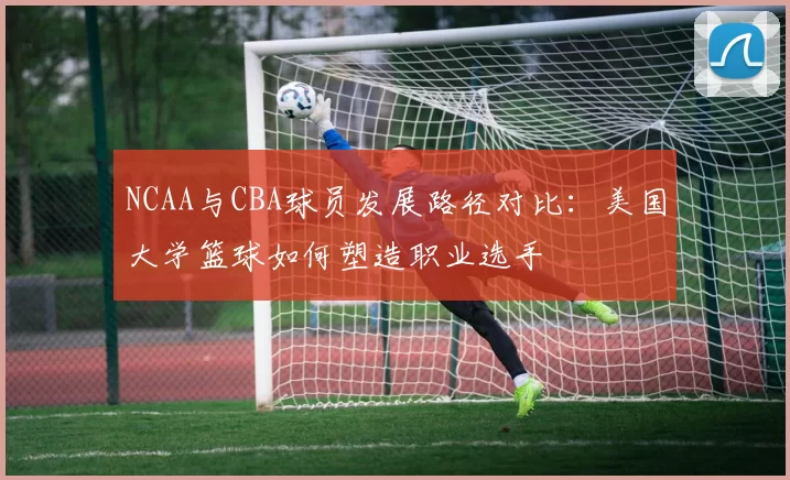 NCAA与CBA球员发展路径对比:美国大学篮球如何塑造职业选手