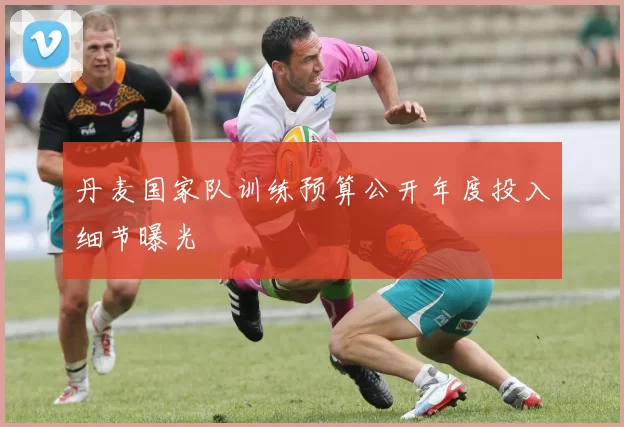 丹麦国家队训练预算公开年度投入细节曝光